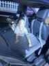 玮依车载床垫汽车后排睡觉车用震折叠免充气露营旅行便携自驾旅行神器 实拍图