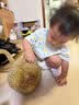 优衣库婴幼儿防紫外线网眼连帽开衫宝宝防晒衣衣服482045 00 白色 90 实拍图
