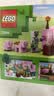 乐高（LEGO）积木玩具进口 我的世界 21268猪宝宝房屋 7岁+ 儿童生日礼物 实拍图