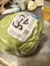 小汤山 圆白菜 500g 基地直供新鲜蔬菜GAP认证 实拍图
