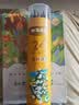 晨光文具24色无木环保彩色铅笔可擦彩铅小学生美术绘画填色笔手绘涂色画笔黄筒生日礼物AWPQ0508 实拍图
