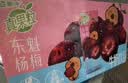 蒙牛真果粒牛奶饮品东魁杨梅味含乳饮料250g×12盒 卡皮巴拉中秋礼盒 实拍图
