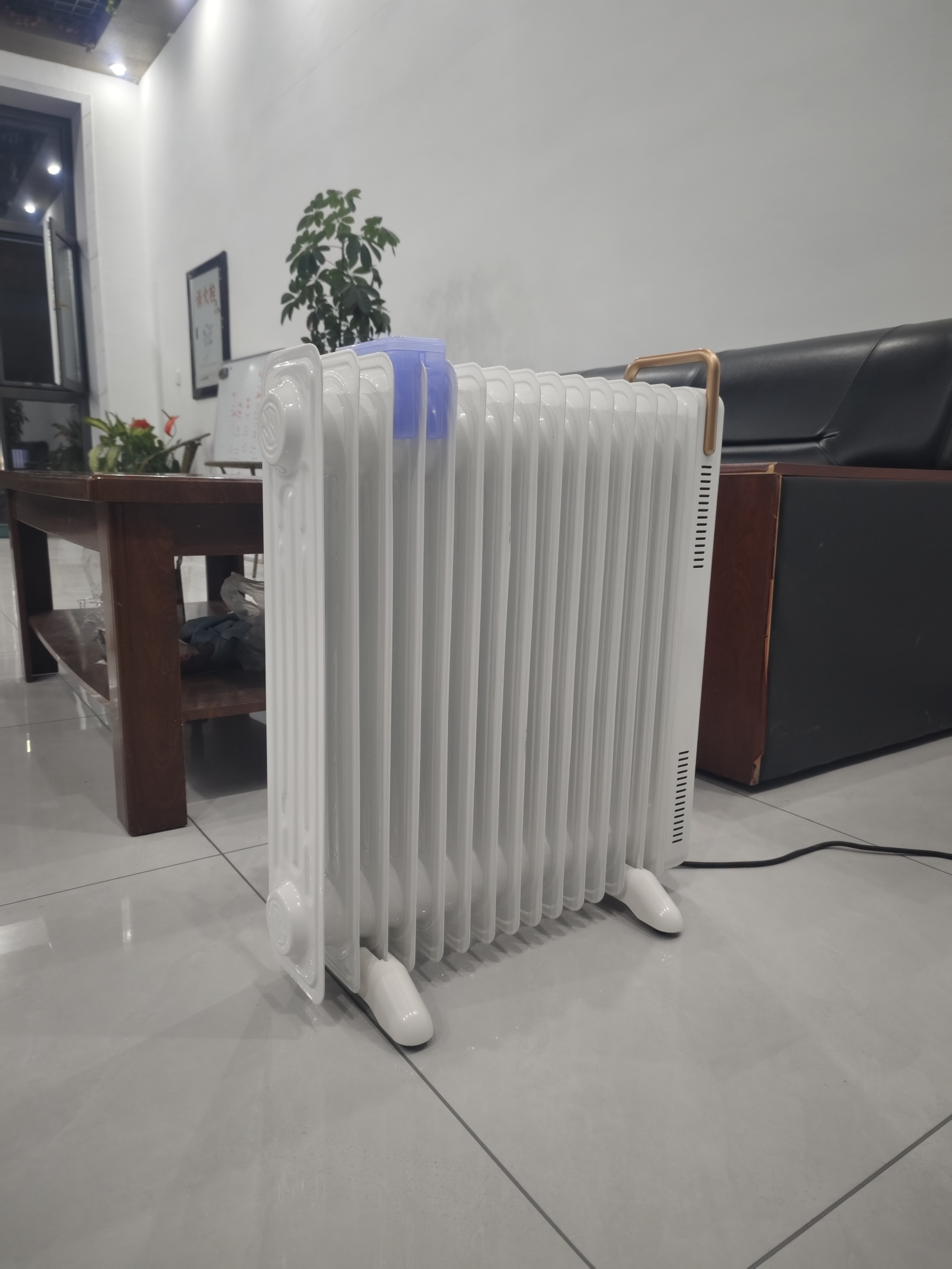 先锋石墨烯电热油汀取暖器电暖器电暖气片家用15片全屋升温智能恒温低噪节能烘衣加湿DYT-Z21 实拍图