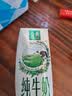 伊利【新鲜日期】金典纯牛奶 200ml*12盒 3.6g乳蛋白礼盒装 实拍图