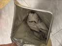 金泰康儿童泡脚药包40g*30包 增强体质免疫力泡澡浴包艾草叶宝宝 实拍图