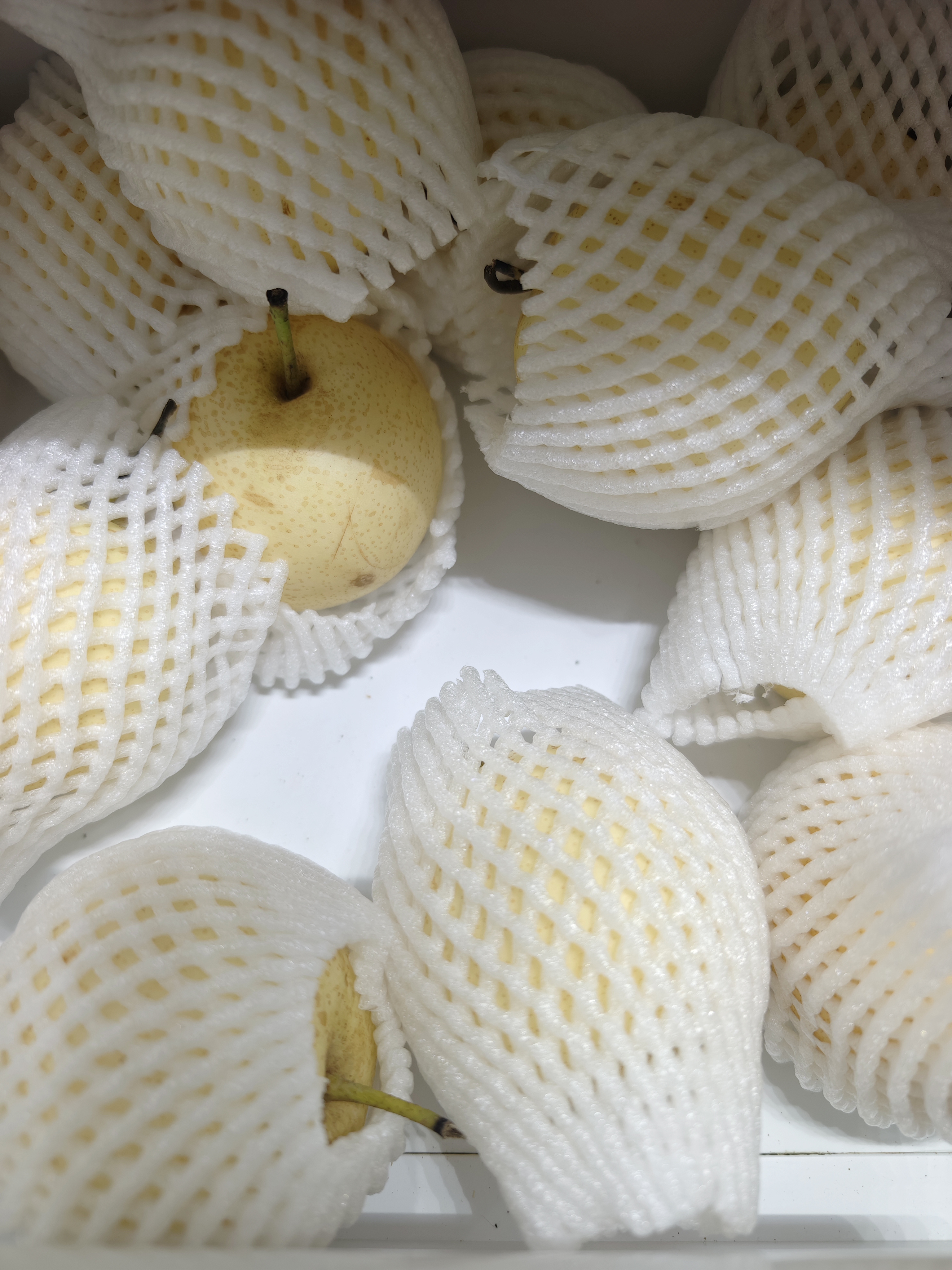 一级果精品赵县皇冠梨酥脆爆汁水果补水当季甜脆冰糖梨 河北皇冠梨带箱9斤装净重8斤单果240g 实拍图
