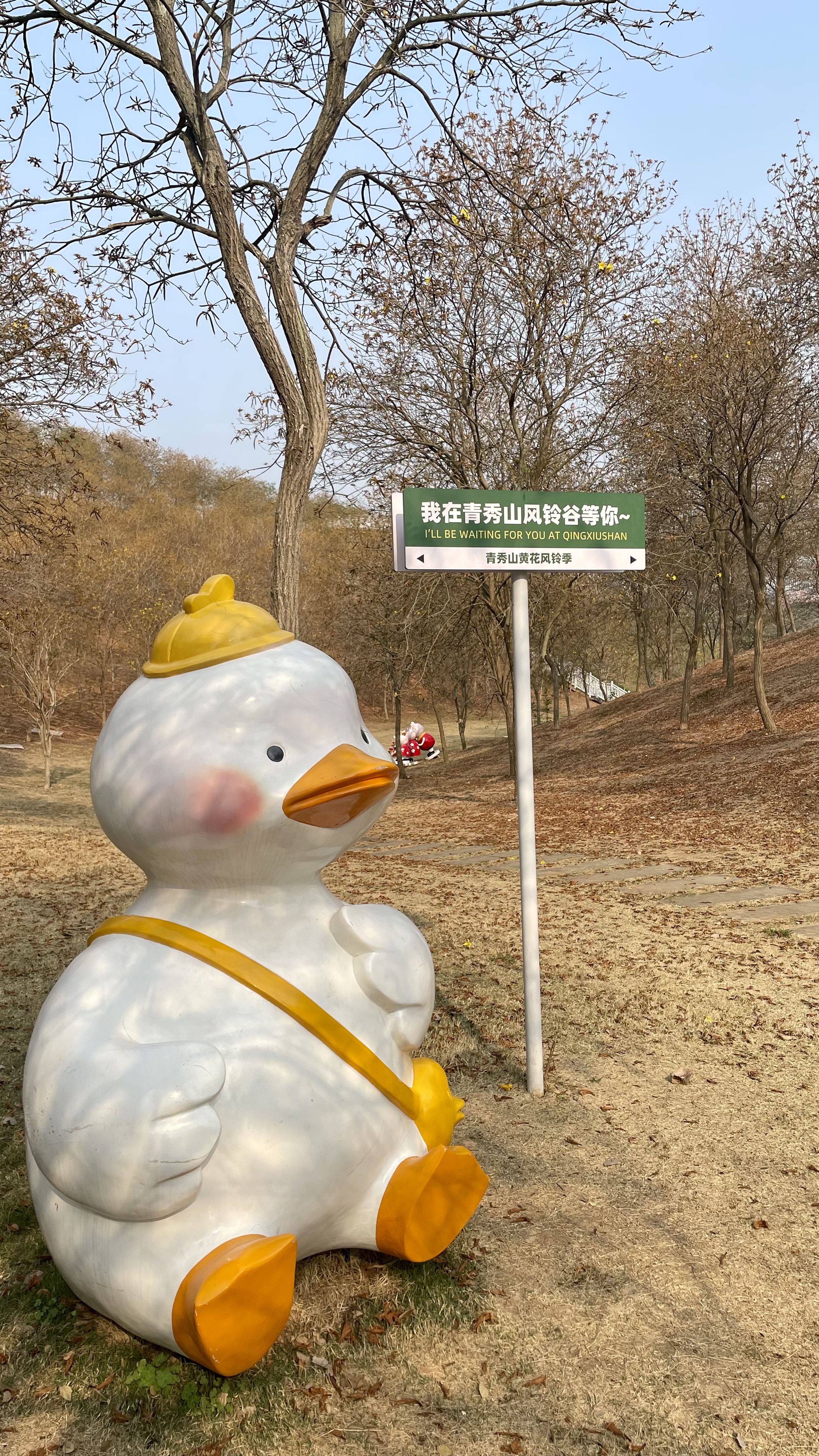 奥林巴斯 宾得 富士 佳能 尼康 三星 适马 松下 索尼 腾龙 唯卓仕 永诺 二手相机镜头 索尼 实拍图