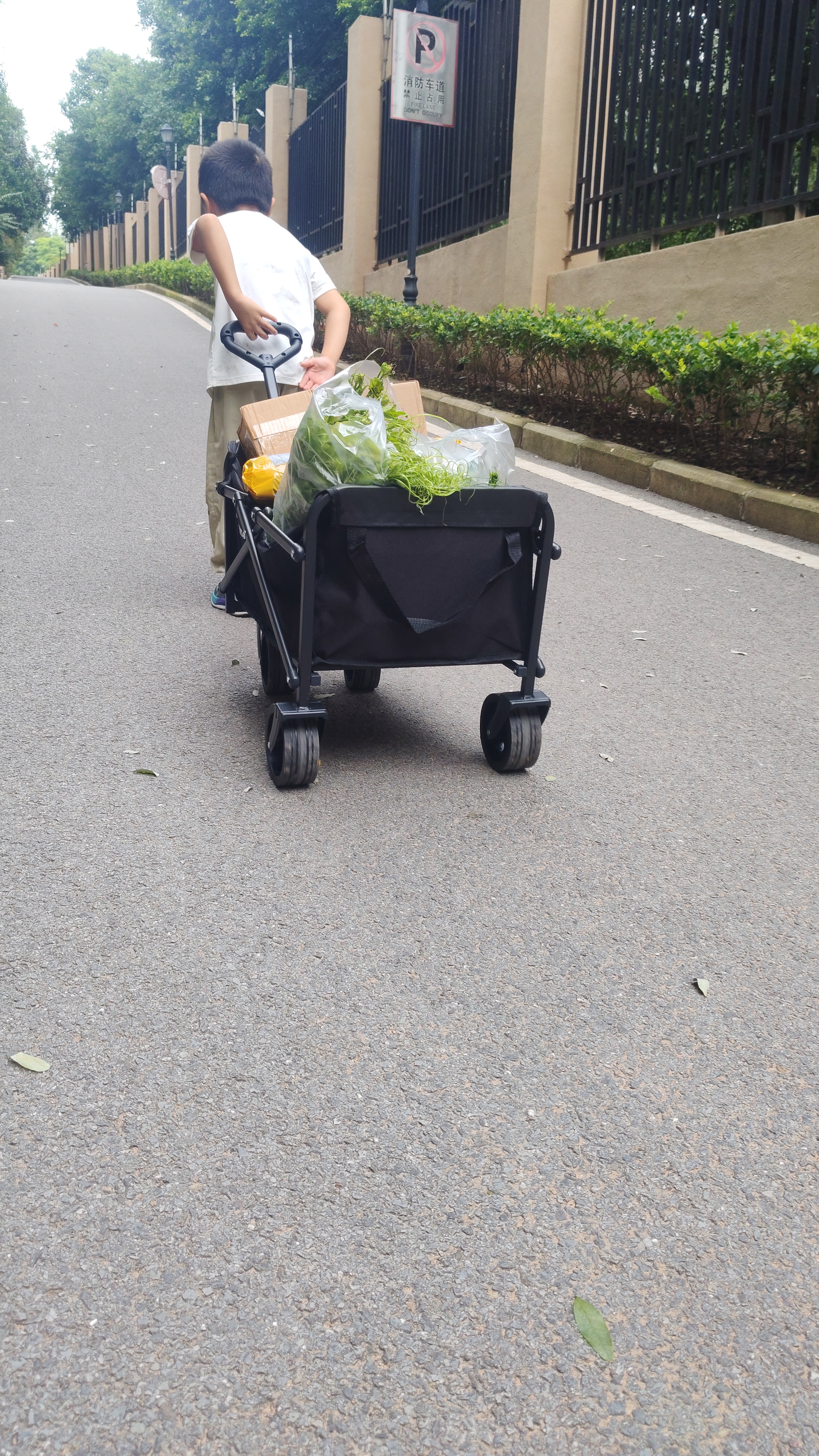 疆屿户外折叠露营车摆摊购物买菜旅行野营野餐小拉车沙滩车取快递推车 实拍图