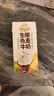 伊利【新鲜日期】谷粒多生椰燕麦牛奶200ml*12盒 礼盒装 实拍图