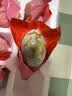 【热销百万单】正宗咸鸭蛋50g/枚饱满流油生鲜超市早餐新鲜即食 【限时特惠】20枚钜惠 实拍图