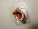 潘祥记经典云腿小饼15枚375g 云南特产火腿饼零食糕点点心饼 实拍图