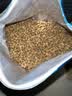 阿飞和巴弟【新品】E76益生菌猫粮养胃生骨肉冻干改善口腔成幼猫粮2kg 实拍图
