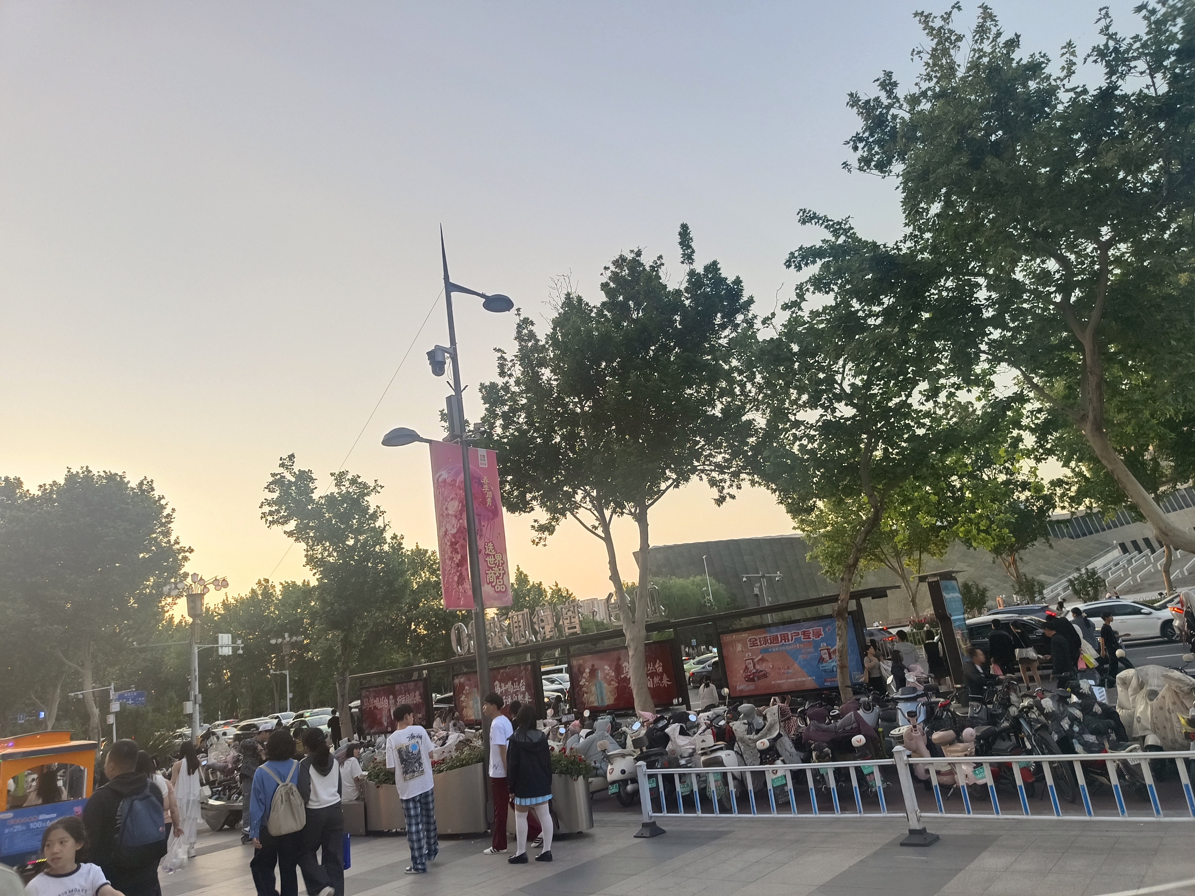 佰颜计玫瑰精油按摩精油全身spa私处通经络润滑推拿房事夫妻刮痧推开背 玫瑰按摩精油500ml 实拍图