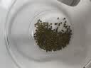 十月稻田 绿豆 2斤 (可发豆芽 打豆浆 东北 五谷 杂粮 粗粮 真空大米伴侣) 实拍图