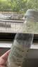 绿杰苹果醋饮料280ml*15瓶整箱 发酵型苹果醋0蔗糖0添加脂肪饮料 实拍图