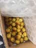 京鲜生陕西大荔冬枣 脆枣大枣 5斤礼盒装 单果20g+ 生鲜国庆水果礼盒 实拍图