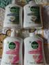 滴露（Dettol）滋润洗手液500g+500补充装+松木500g+500补充装 实拍图