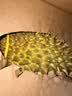 京鲜生 进口金枕头新鲜榴莲 净重6-7斤 1个装 生鲜水果 中秋礼品 实拍图