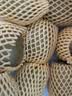 佳沛（zespri）新西兰金奇异果10粒巨大果146-175g猕猴桃中秋节礼品送水果礼盒 实拍图