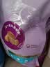 雷米高（RAMICAL）澳丽得 海洋鱼味全价幼猫成猫猫粮10kg(500g*20分袋）20斤 实拍图
