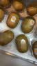 佳沛（zespri）新西兰金奇异果12粒特大果124-146g猕猴桃中秋节礼品送水果礼盒 实拍图