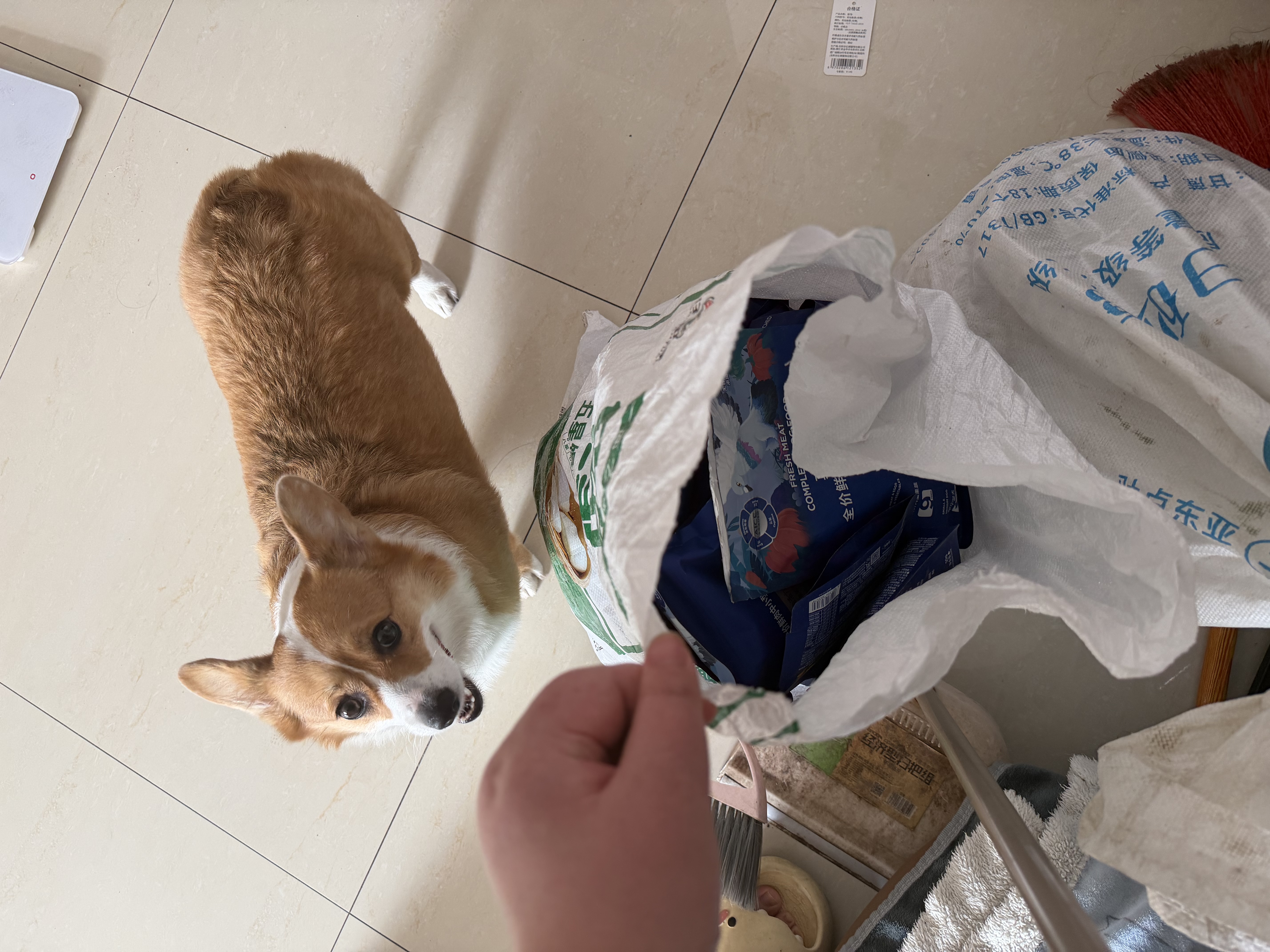 LEGENDSANDY蓝氏狗粮真鲜乳鸽中小型犬泰迪比熊生骨肉冻干鲜肉犬粮1.5kg*6包 实拍图