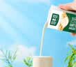 豆本豆唯甄豆奶250ml*24盒植物蛋白饮料儿童营养学生早餐奶整箱礼盒批发 实拍图