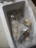 【新货上市】特大号扇贝肉纯野生海捕新鲜扇贝冷冻海鲜带冰保鲜 扇贝肉净重400g*4 实拍图