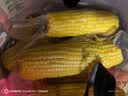 京鲜生东北黄糯玉米300g*8棒 甜黏玉米低脂早餐代餐粗粮真空装 源头直发 实拍图