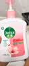 滴露（Dettol）健康抑菌洗手液滋润倍护500g 消毒抑菌99.99% 儿童适用不含酒精 实拍图