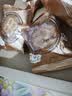 御厨坊月饼礼盒520g 8味12饼蛋黄五仁早餐零食中秋节礼品福利御赏花月 实拍图