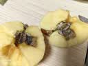 【彩箱礼盒】26年头茬云南樱桃小苹果昭通丑苹果冰糖心苹果整箱 带箱5斤净重4.5斤 实拍图