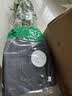京东鲜花随机玫瑰10枝鲜切花基地直发礼品节日情人礼物源头直发 实拍图