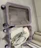 不莱玫大容量行李箱拉杆箱旅行箱密码箱商务学生登机箱20plus红色 实拍图