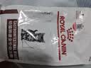 皇家（ROYAL CANIN）幼猫肠道处方猫粮GIK35健康成长消化支持肠胃调理1-4月配方粮1KG 实拍图