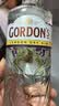 哥顿（Gordon’s）洋酒 英国 伦敦 金酒 蒸馏酒 700ml 实拍图