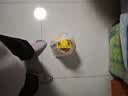 鲁花 食用油 物理压榨 葵花仁油6.18L  实拍图
