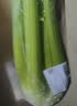 西芹1kg 实拍图