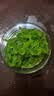 云山半海藻沙拉200g*5袋裙带菜开袋即食海草海带丝凉拌菜日式寿司 实拍图