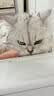 皇家室内成猫粮 I27 通用粮 12月以上 400g 实拍图
