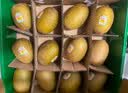佳沛（zespri）新西兰金奇异果12粒特大果124-146g猕猴桃水果礼盒 实拍图