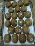 佳沛（zespri）绿奇异果特大果22-25粒原箱135-176g猕猴桃中秋节礼品送水果礼盒 实拍图