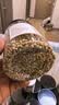 蔚鲜来香菜籽150g【配料干净】芫荽子火锅煲汤炖卤煮牛羊肉香辛料 实拍图