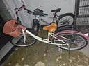 凤凰官方旗舰店自行车成年人男女学生复古轻便城市通勤自行车 荷花 高配单速-米黄 26寸【适合163-175cm】 实拍图