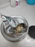福东海 莲子500g 湘潭去芯磨皮通芯湘莲子可搭白莲子煲汤糖水搭四神汤料 实拍图