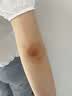 焦博士保湿身体乳皮肤干燥止痒润肤乳补水男女士美白持久留香72小时香体 实拍图