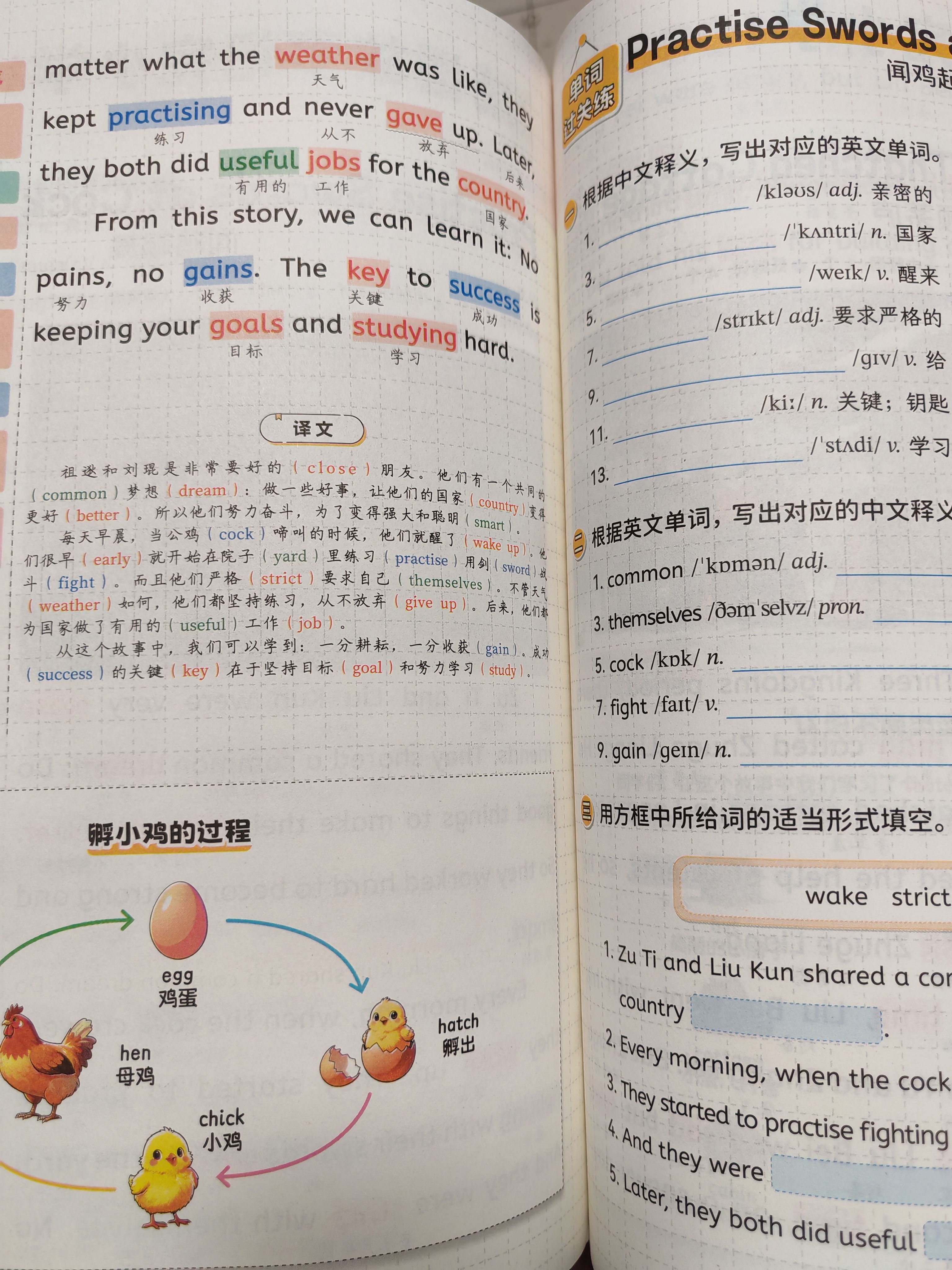 斗半匠40篇英语童话故事记完小学1000词自然拼读记单词英语单词记背神器英语词汇每日一练小学英语单词速记手册 实拍图