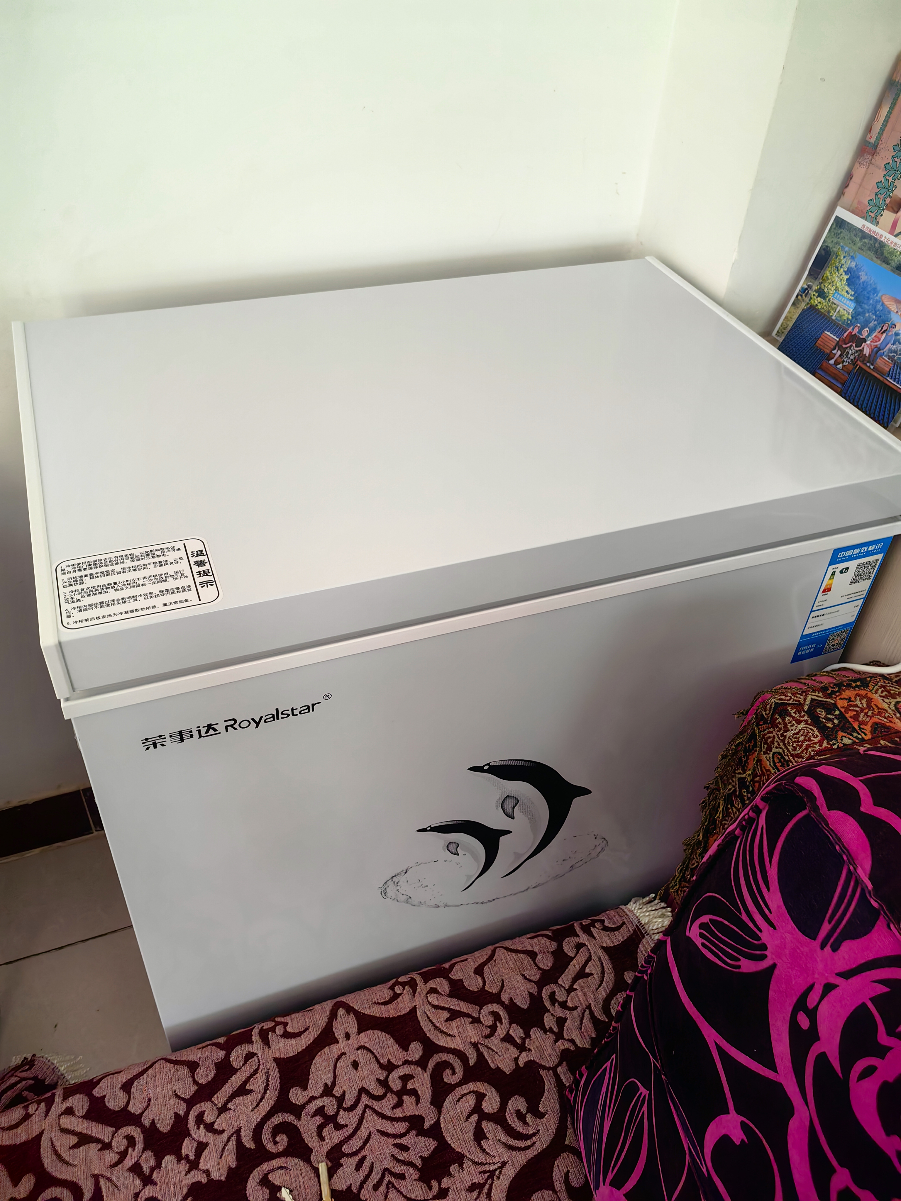 荣事达（Royalstar）小冰柜家用小型冷冻保鲜迷你冷藏商用卧式冷柜单用储母乳柜节能省电 206白色【可囤300斤肉 加厚发泡 强制冷】 实拍图