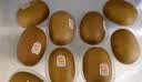 佳沛（zespri）金奇异果25-27粒原箱特大果124-146g猕猴桃水果礼盒 实拍图