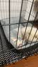 licheers猫狗窝四季小型犬宠物猫咪睡垫秋冬季舒适泰迪中大型犬狗垫子 S号 实拍图